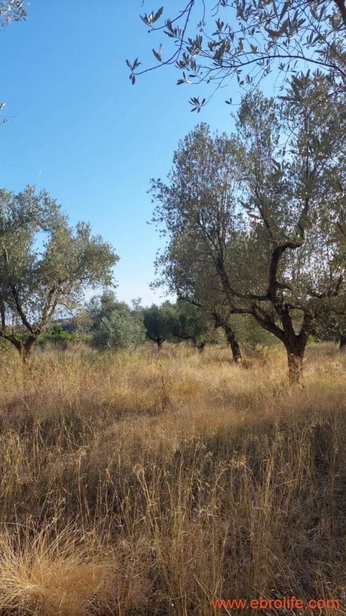 1 soverom Finca/Herregård til salgs i Caspe - € 28 000 (Ref: 9248380)