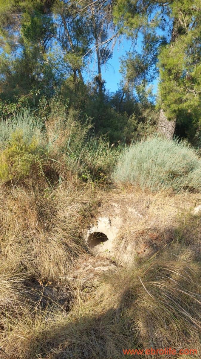 1 soverom Finca/Herregård til salgs i Caspe - € 28 000 (Ref: 9248380)