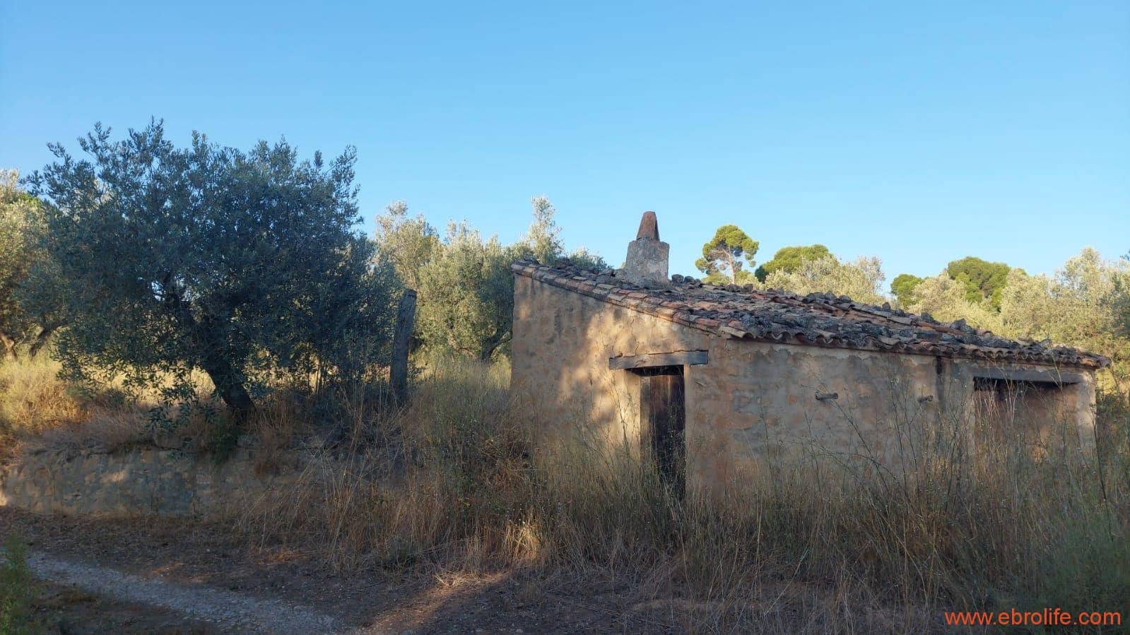 1 soverom Finca/Herregård til salgs i Caspe - € 28 000 (Ref: 9248380)