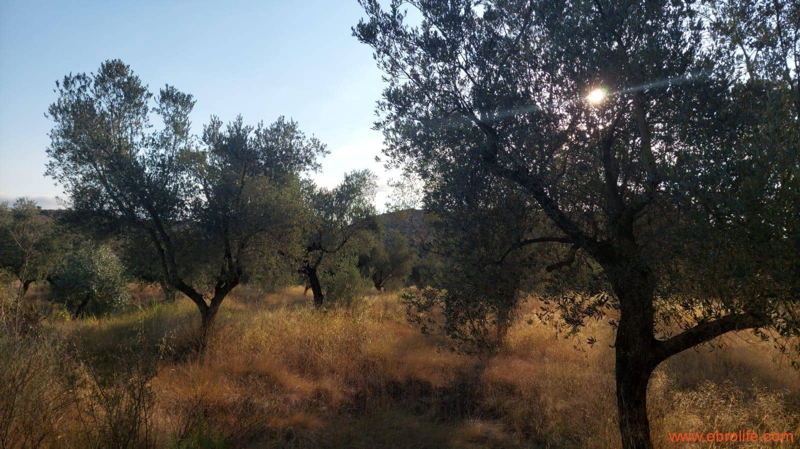 1 soverom Finca/Herregård til salgs i Caspe - € 28 000 (Ref: 9248380)