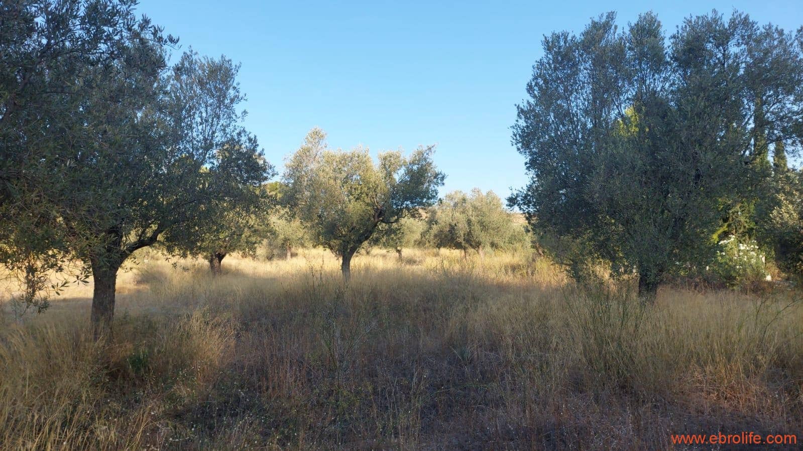 1 soverom Finca/Herregård til salgs i Caspe - € 28 000 (Ref: 9248380)