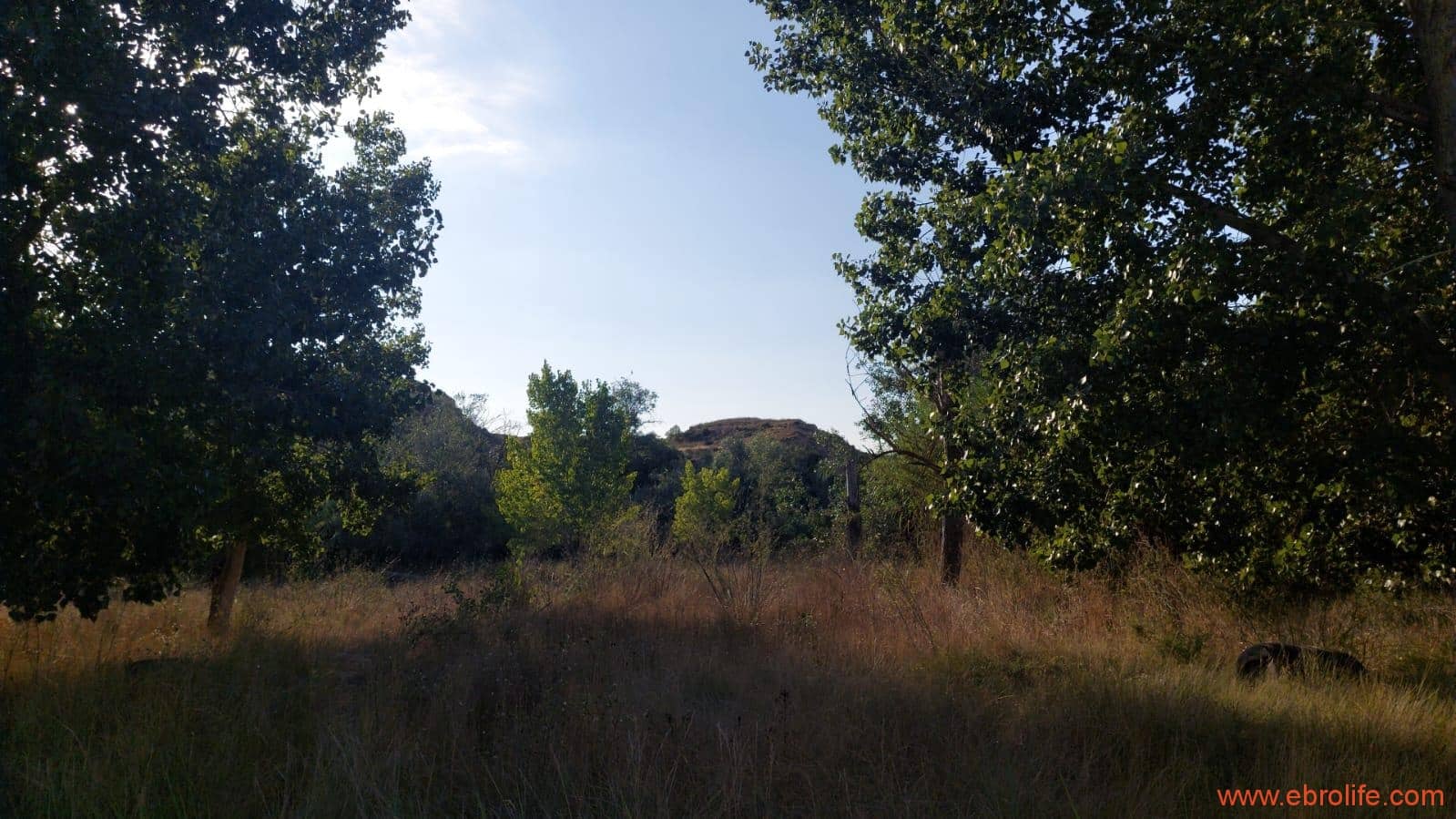 1 soverom Finca/Herregård til salgs i Caspe - € 28 000 (Ref: 9248380)