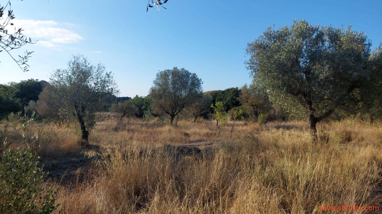 1 soverom Finca/Herregård til salgs i Caspe - € 28 000 (Ref: 9248380)