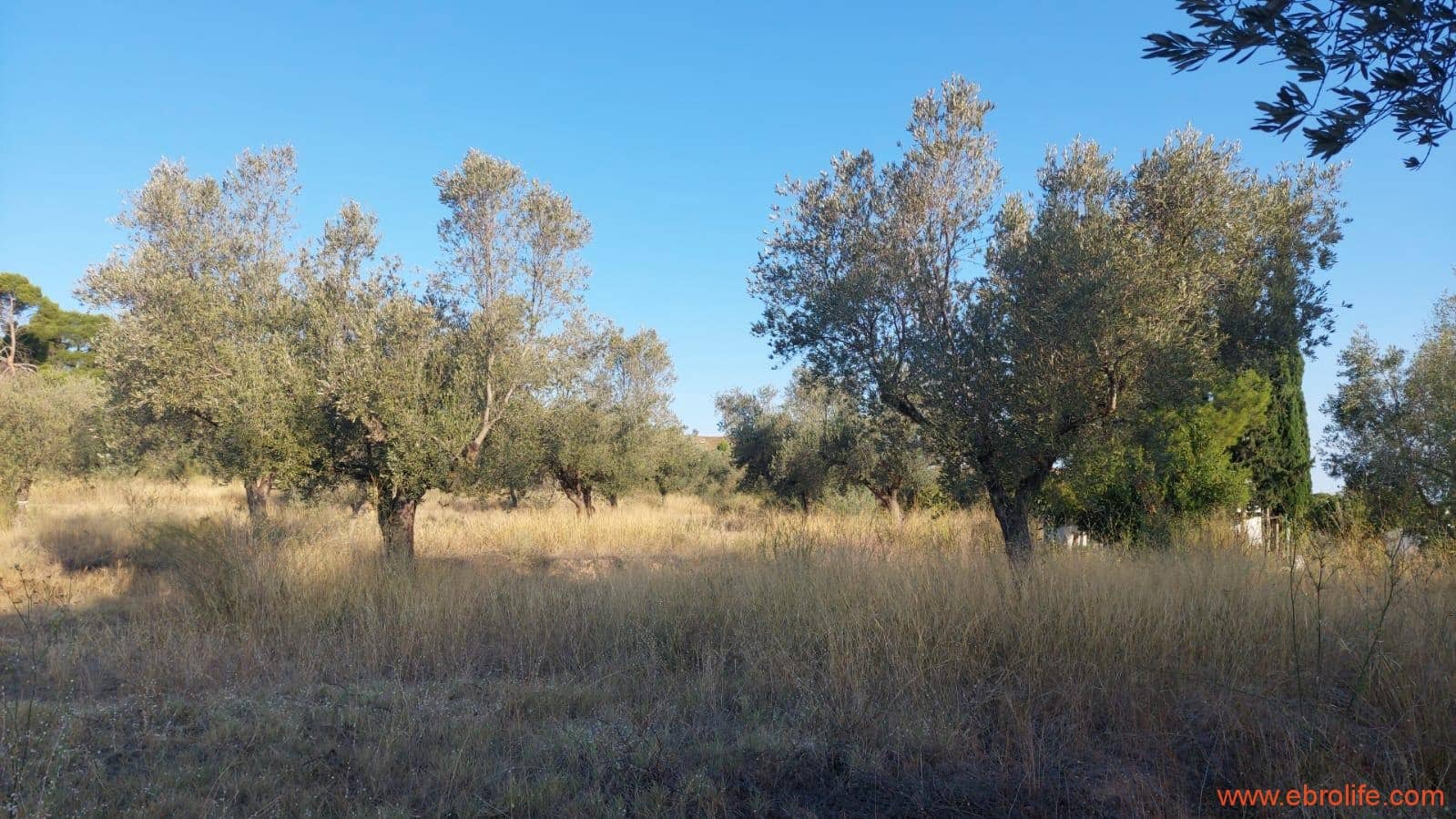 1 soverom Finca/Herregård til salgs i Caspe - € 28 000 (Ref: 9248380)