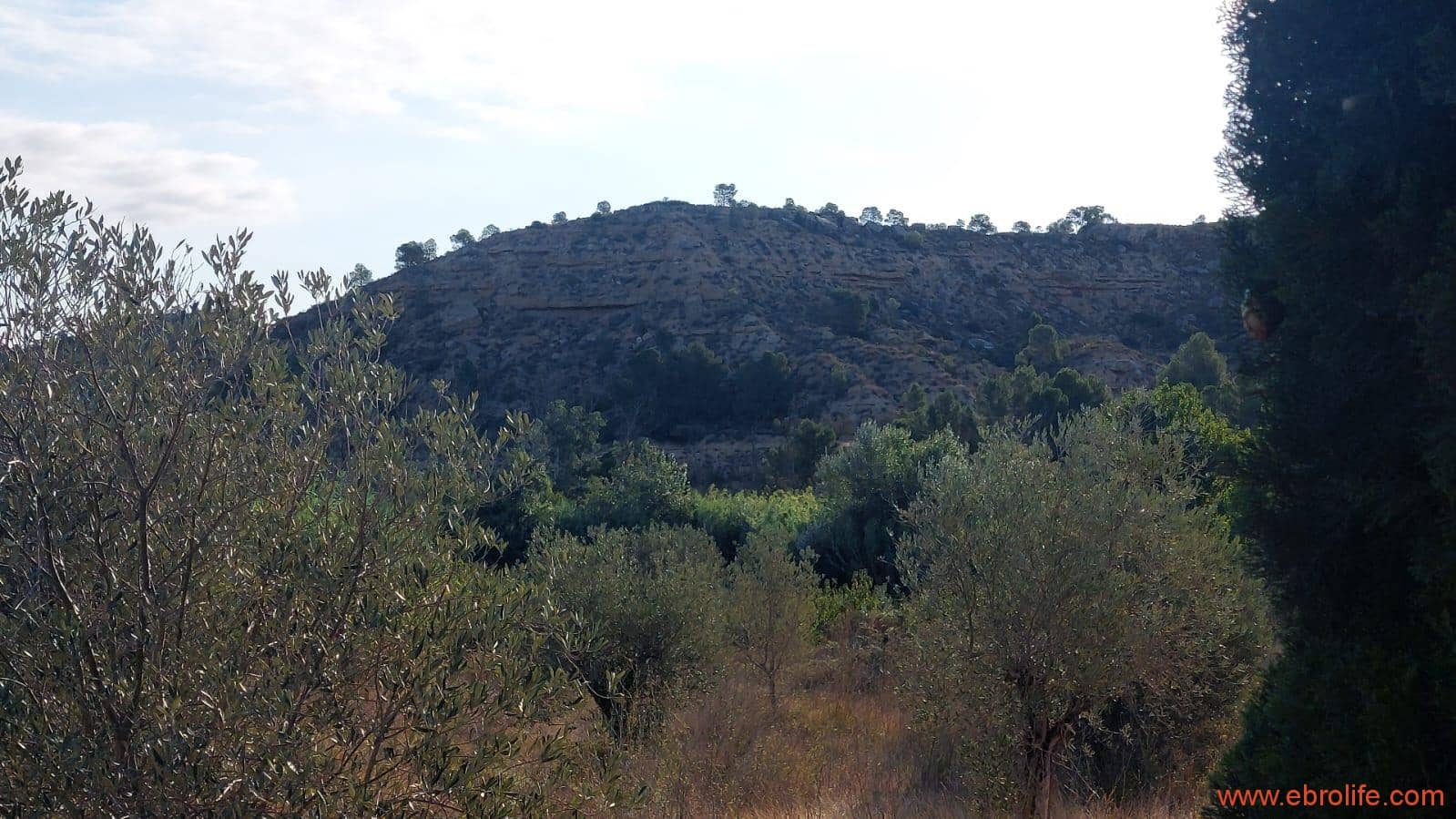 1 soverom Finca/Herregård til salgs i Caspe - € 28 000 (Ref: 9248380)