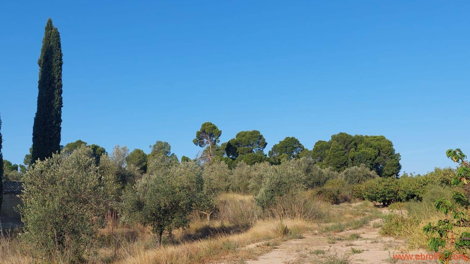 1 soverom Finca/Herregård til salgs i Caspe - € 28 000 (Ref: 9248380)