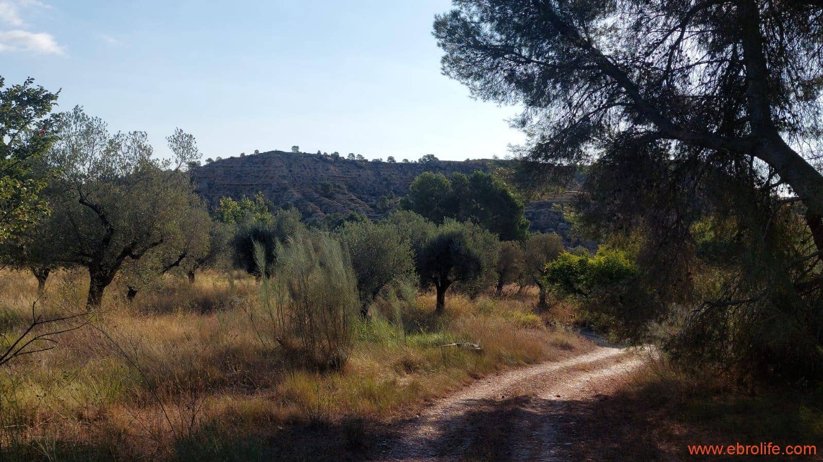 1 soverom Finca/Herregård til salgs i Caspe - € 28 000 (Ref: 9248380)