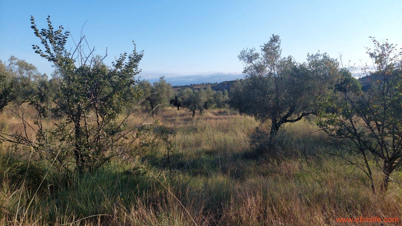 1 soverom Finca/Herregård til salgs i Caspe - € 28 000 (Ref: 9248380)