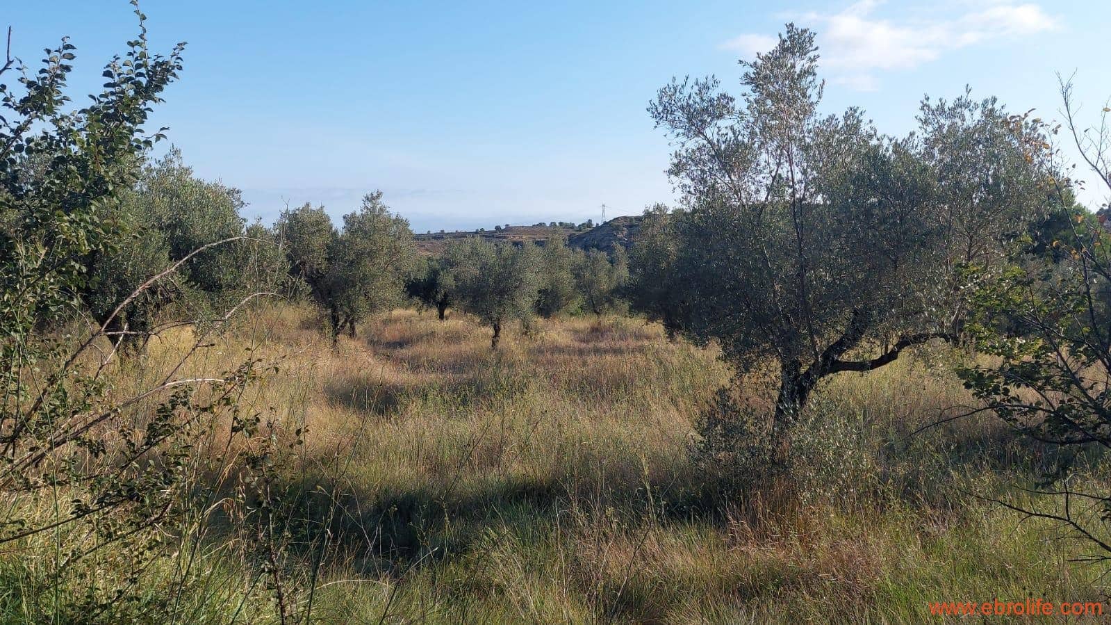 1 soverom Finca/Herregård til salgs i Caspe - € 28 000 (Ref: 9248380)