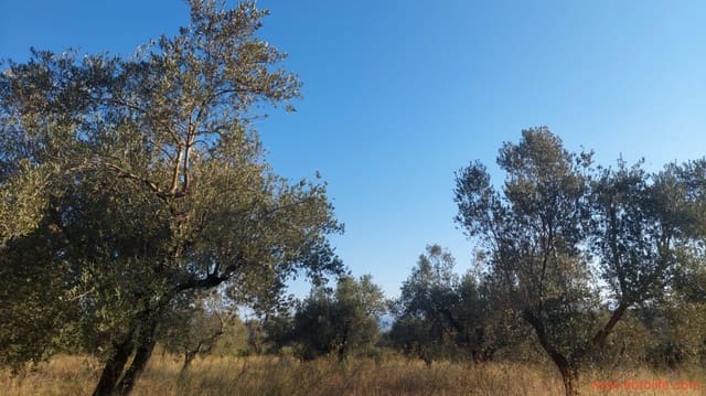 Finca/Casa Rural de 1 habitación en Caspe en venta - 28.000 € (Ref: 9248380)