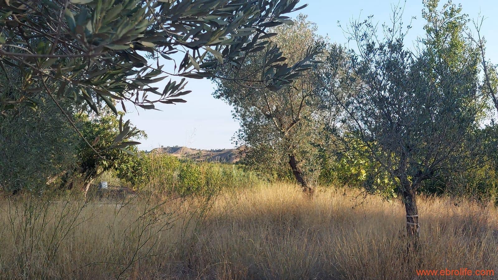 1 soverom Finca/Herregård til salgs i Caspe - € 28 000 (Ref: 9248380)