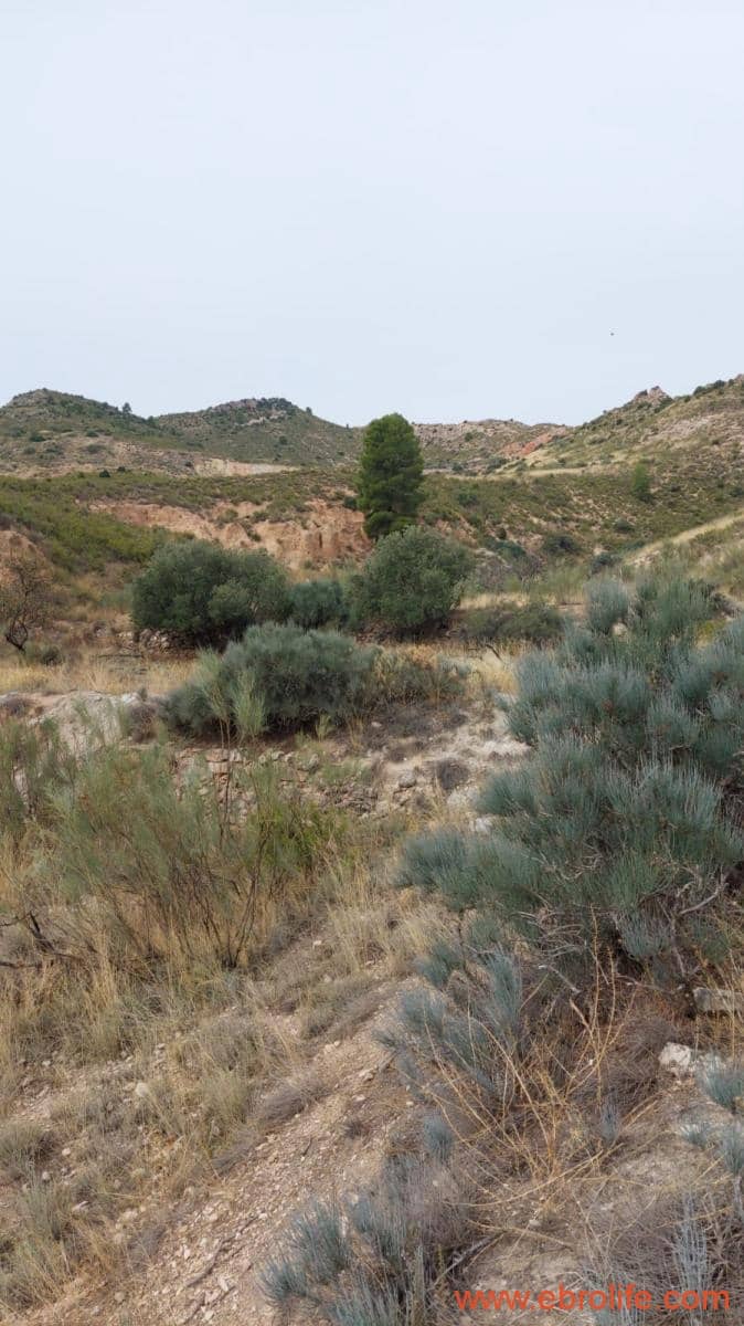 1 soveværelse Finca/Landehus til salg i Calanda - € 46.000 (Ref: 9302830)