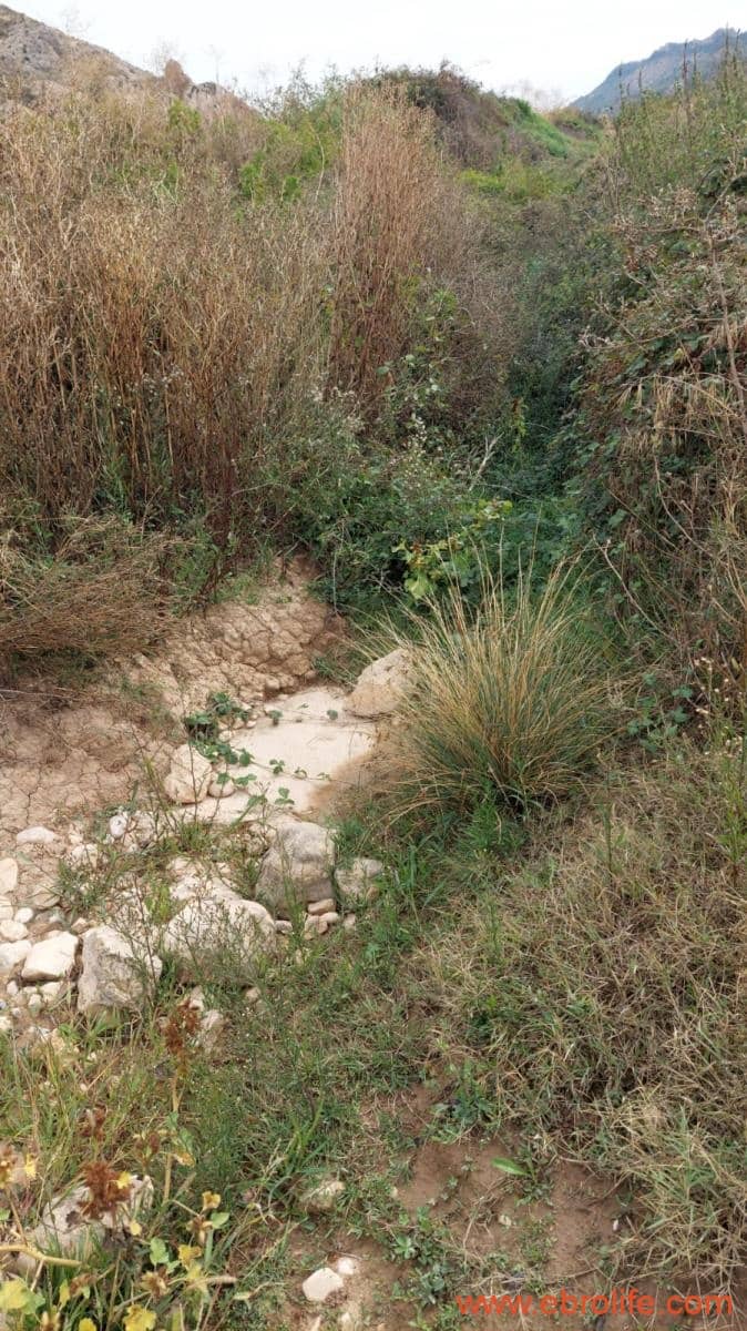 1 soveværelse Finca/Landehus til salg i Calanda - € 46.000 (Ref: 9302830)