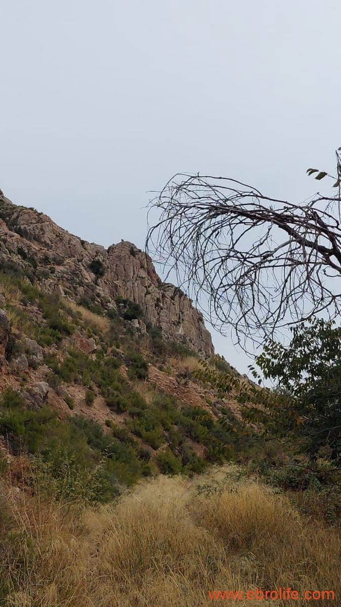 1 soveværelse Finca/Landehus til salg i Calanda - € 46.000 (Ref: 9302830)