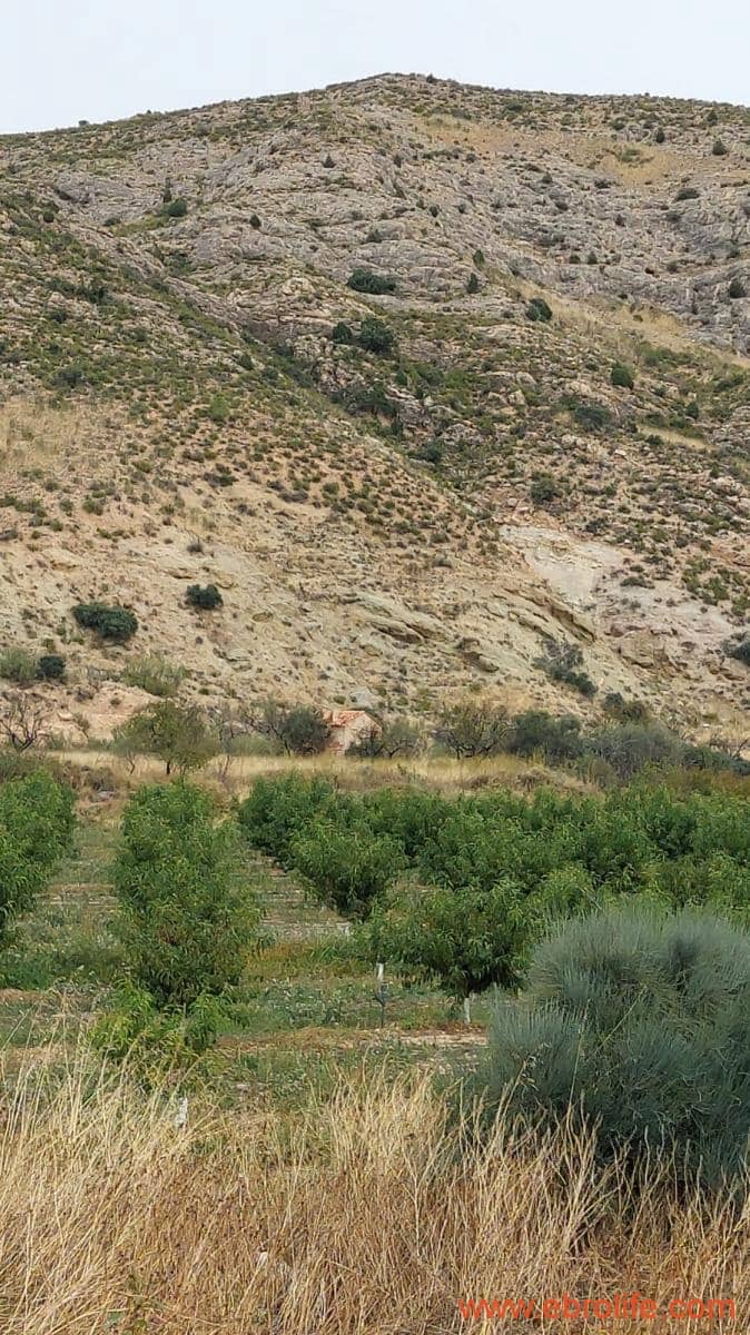 1 soveværelse Finca/Landehus til salg i Calanda - € 46.000 (Ref: 9302830)