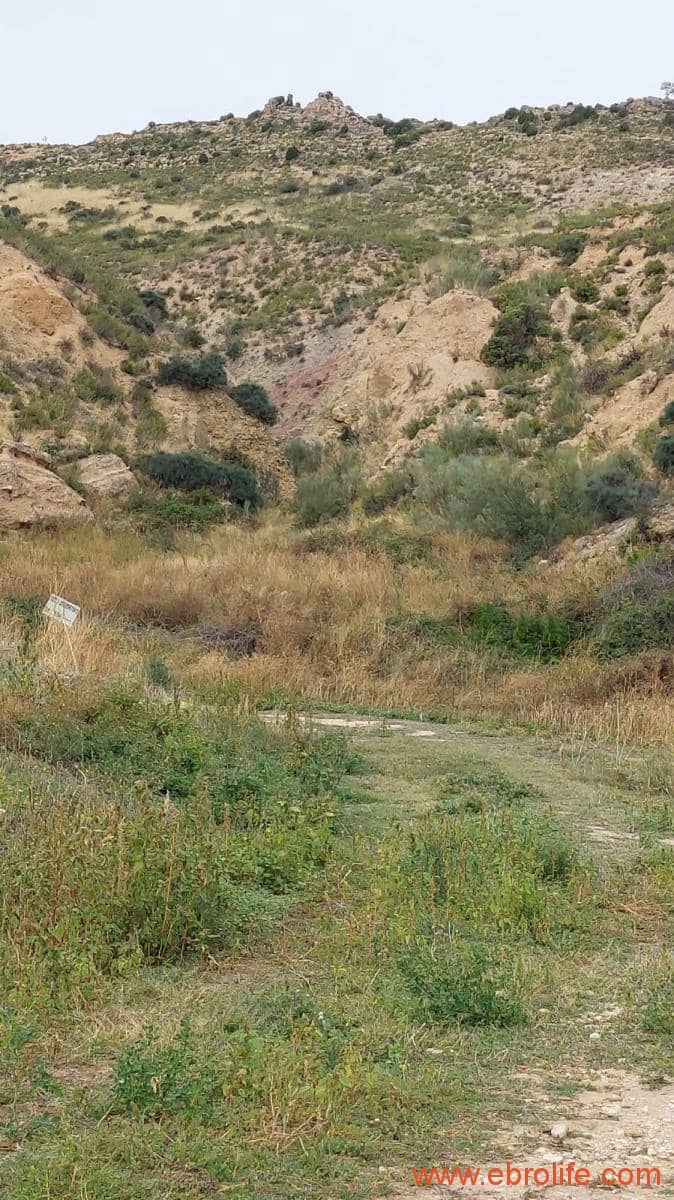 1 soveværelse Finca/Landehus til salg i Calanda - € 46.000 (Ref: 9302830)