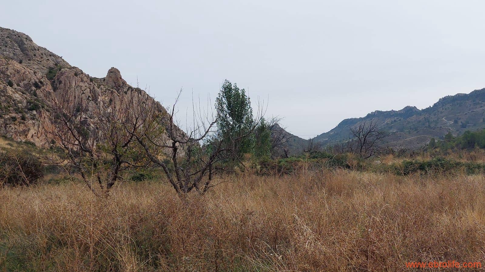 1 soveværelse Finca/Landehus til salg i Calanda - € 46.000 (Ref: 9302830)