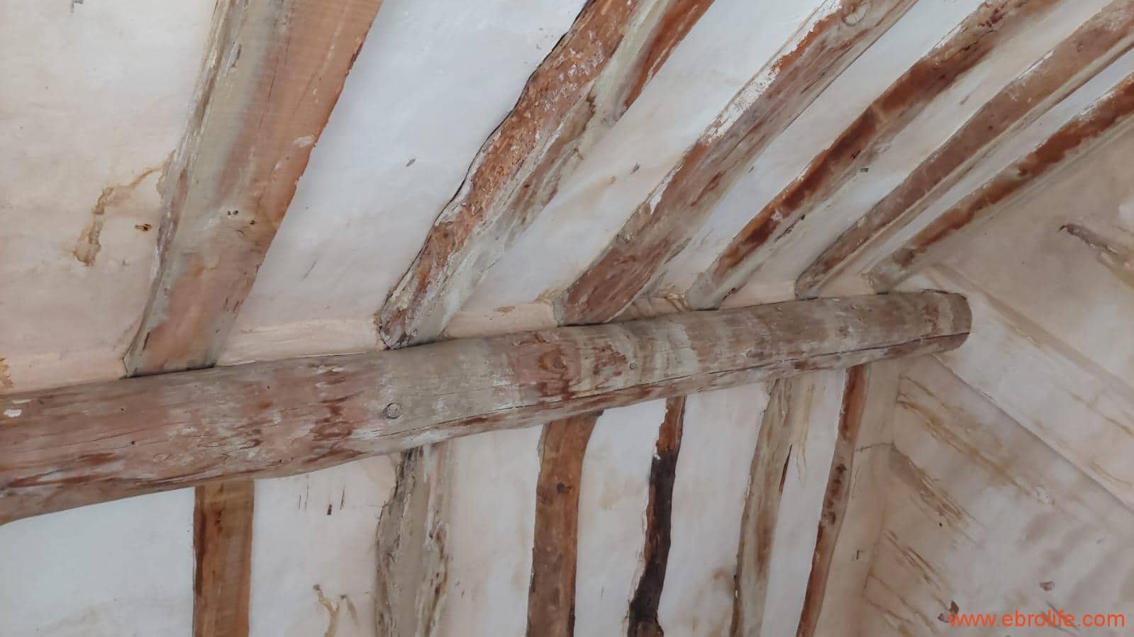 1 soveværelse Finca/Landehus til salg i Calanda - € 46.000 (Ref: 9302830)