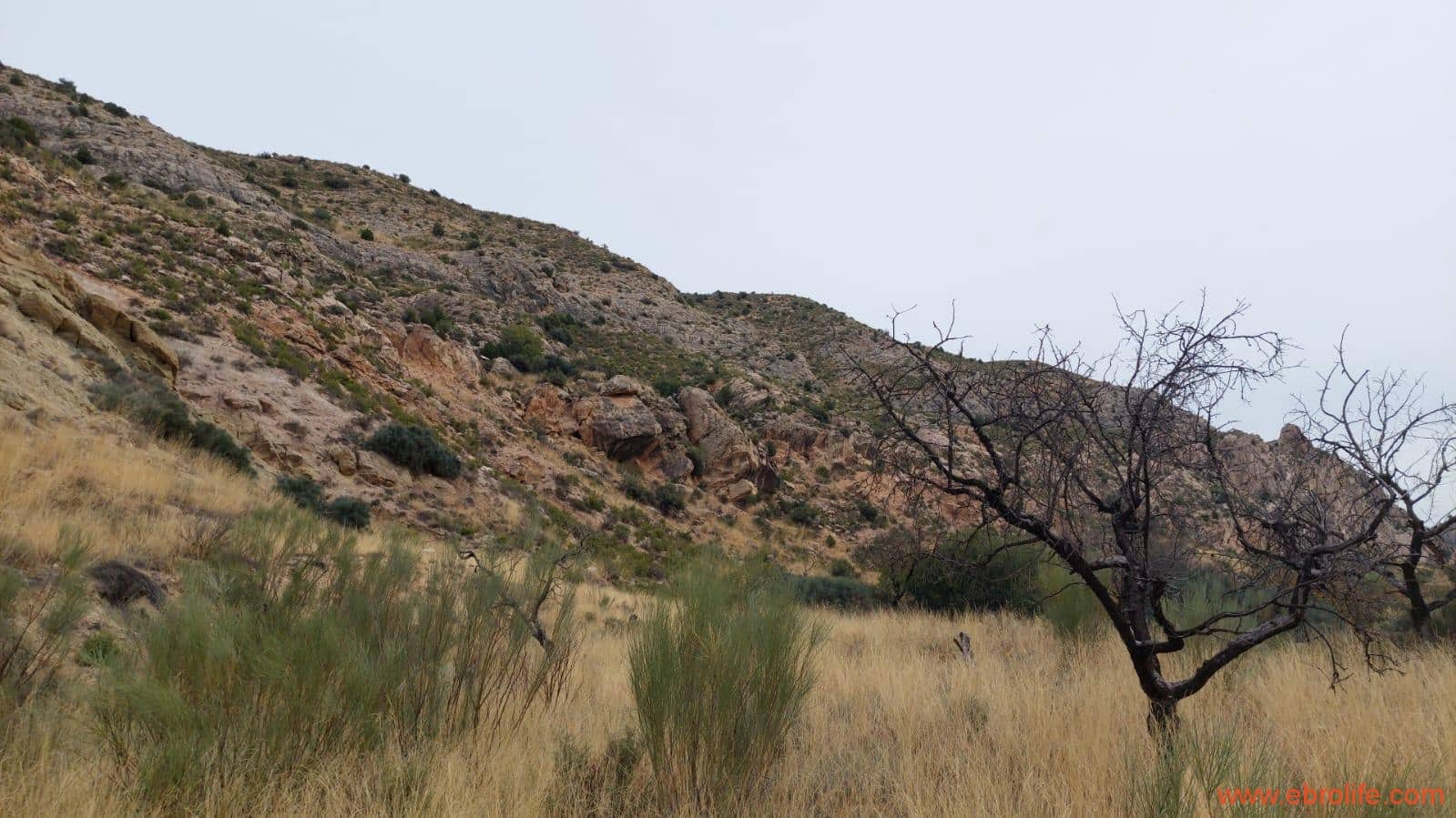 1 soveværelse Finca/Landehus til salg i Calanda - € 46.000 (Ref: 9302830)