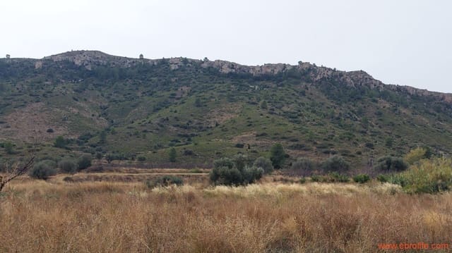 1 Zimmer Finca/Landgut zu verkaufen in Calanda - 46.000 € (Ref: 9302830)