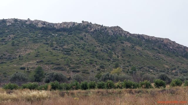 1 Zimmer Finca/Landgut zu verkaufen in Calanda - 46.000 € (Ref: 9302830)