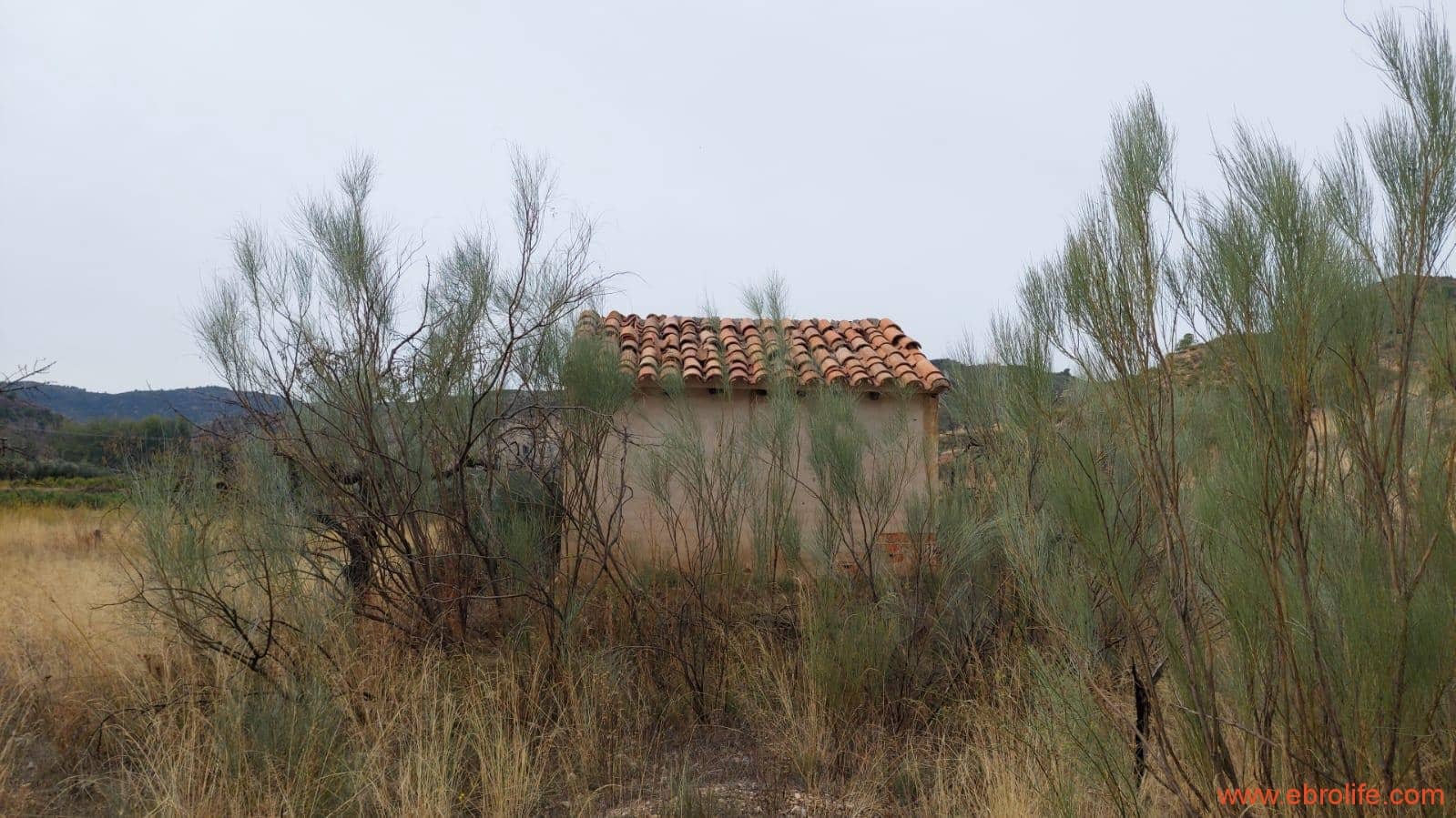 1 soveværelse Finca/Landehus til salg i Calanda - € 46.000 (Ref: 9302830)