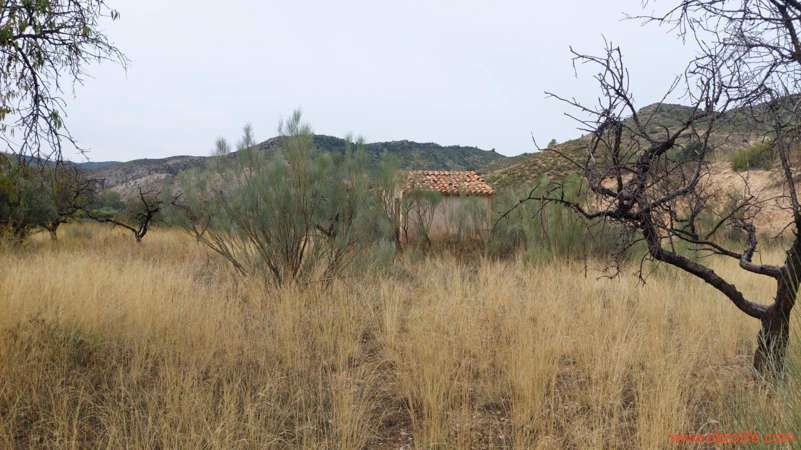 1 soveværelse Finca/Landehus til salg i Calanda - € 46.000 (Ref: 9302830)