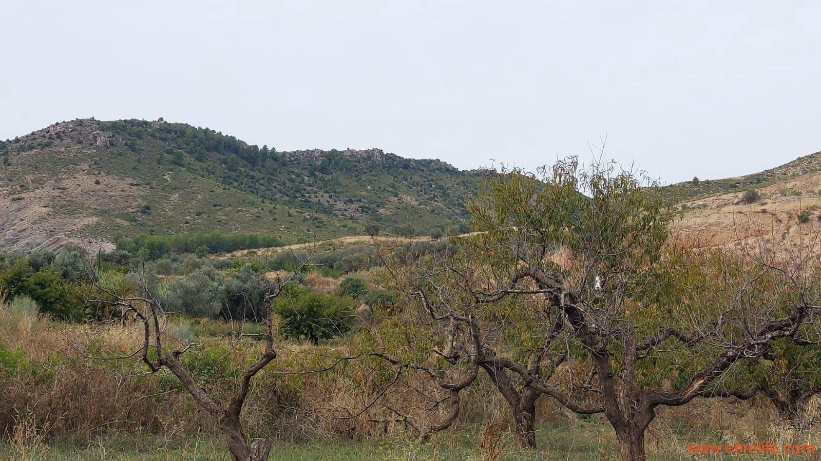 1 soveværelse Finca/Landehus til salg i Calanda - € 46.000 (Ref: 9302830)