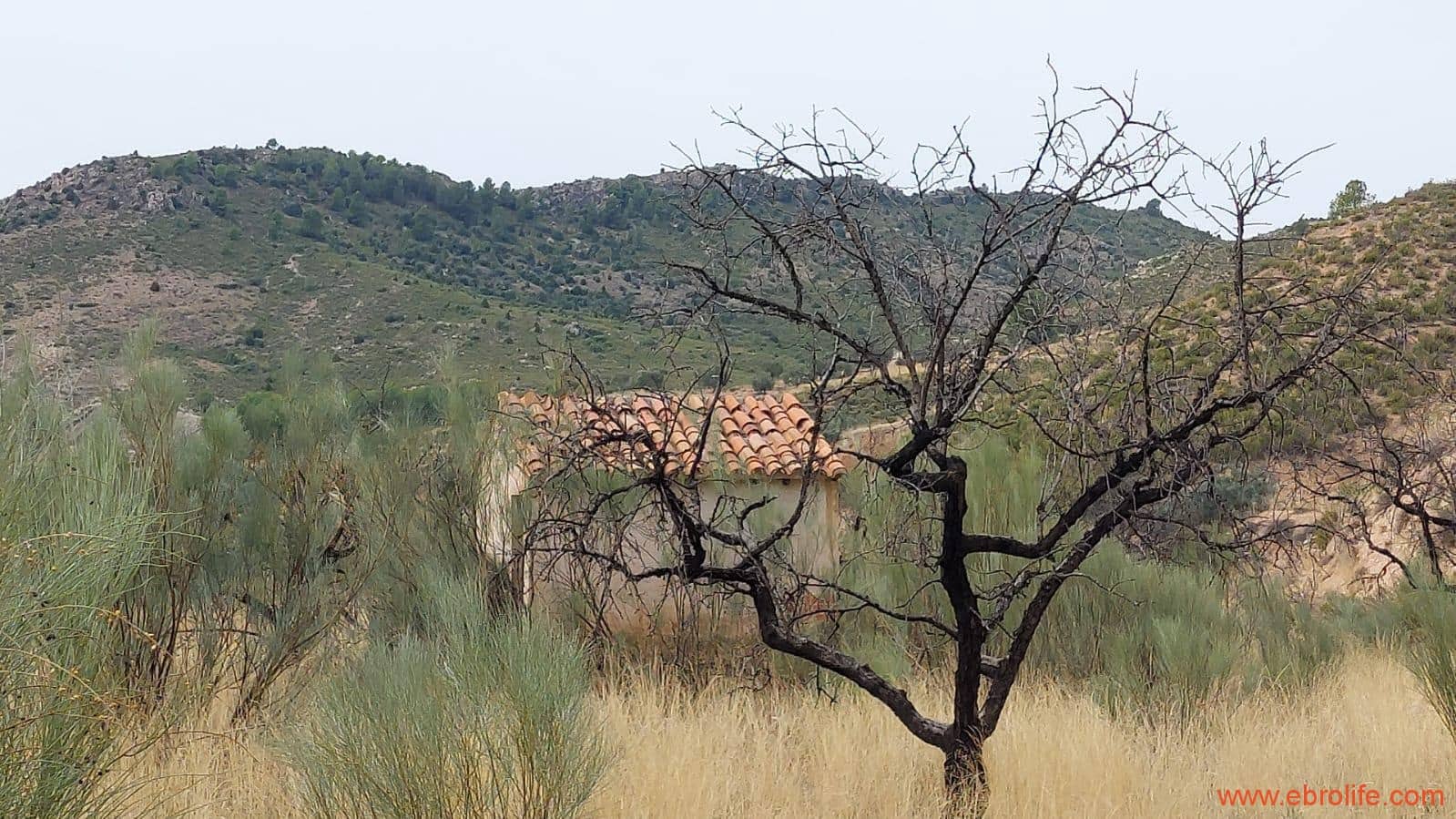 1 soveværelse Finca/Landehus til salg i Calanda - € 46.000 (Ref: 9302830)