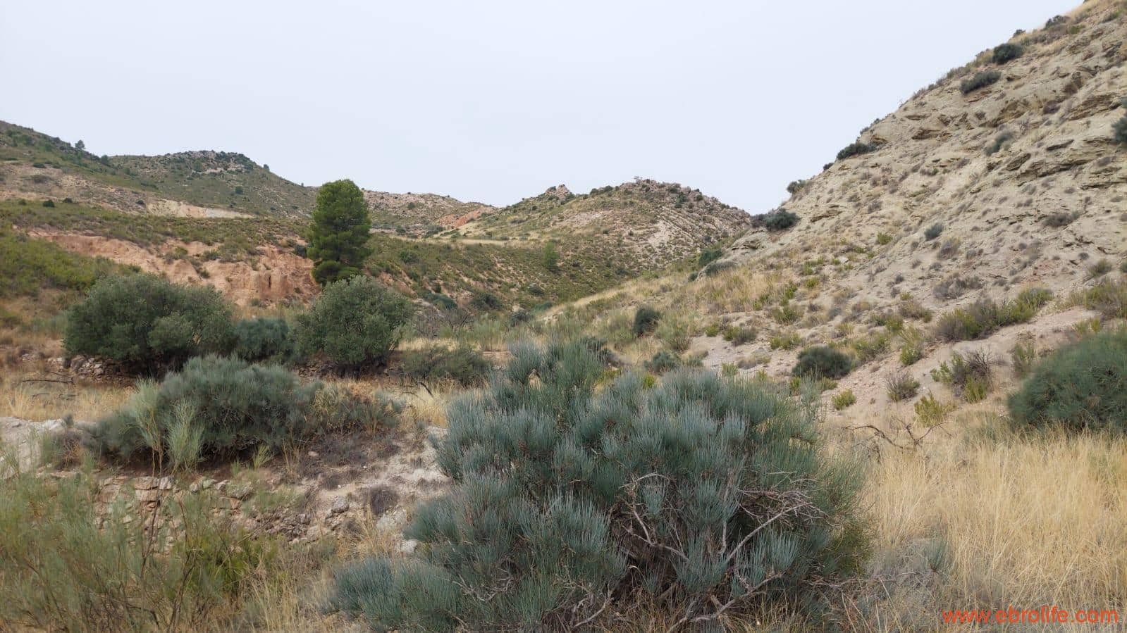 1 soveværelse Finca/Landehus til salg i Calanda - € 46.000 (Ref: 9302830)