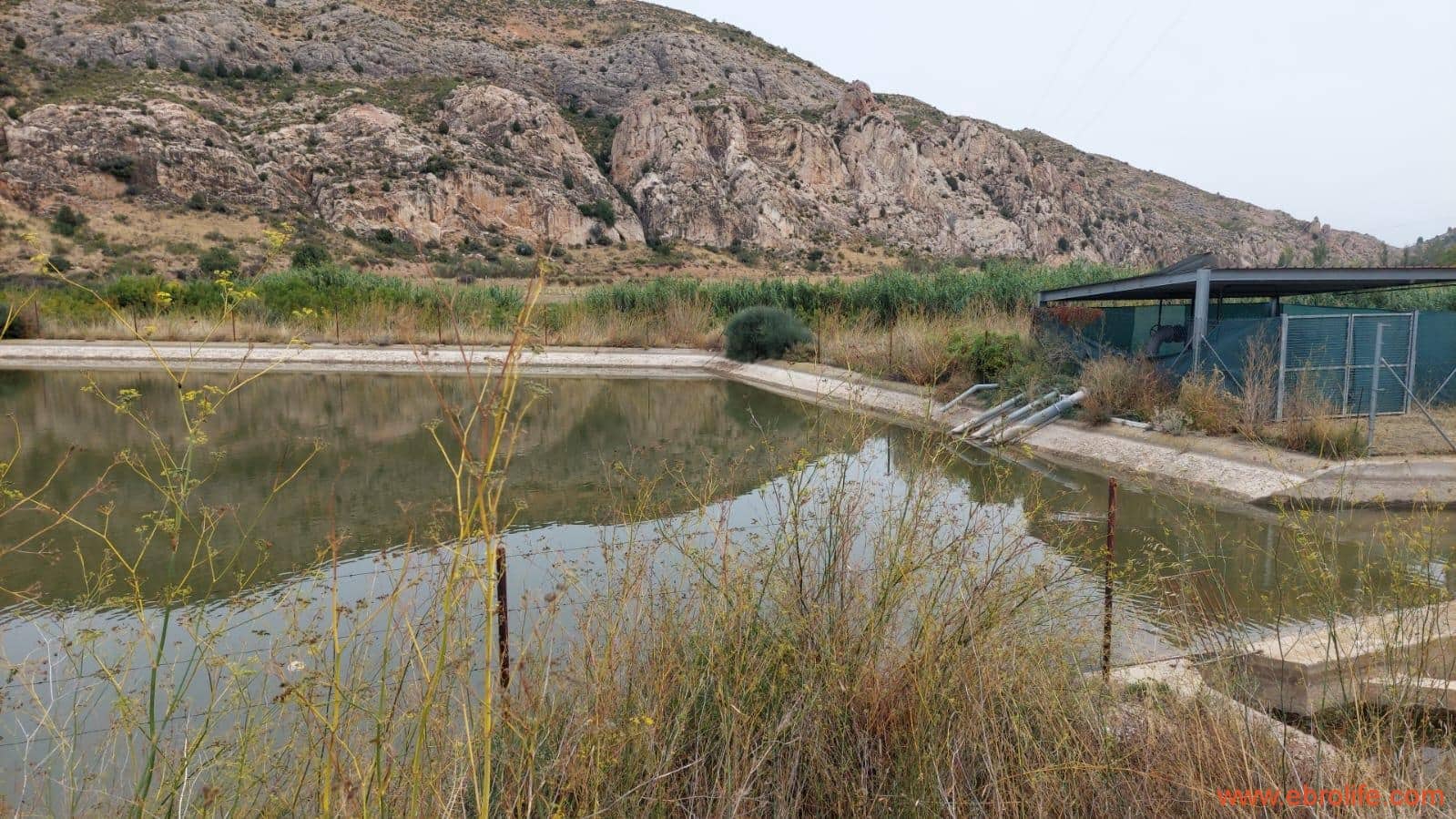 1 soveværelse Finca/Landehus til salg i Calanda - € 46.000 (Ref: 9302830)