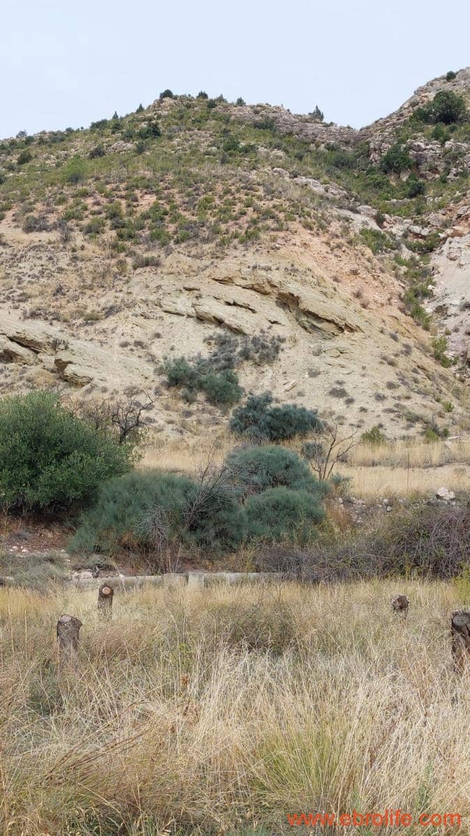 1 soveværelse Finca/Landehus til salg i Mas de las Matas - € 96.000 (Ref: 9302831)