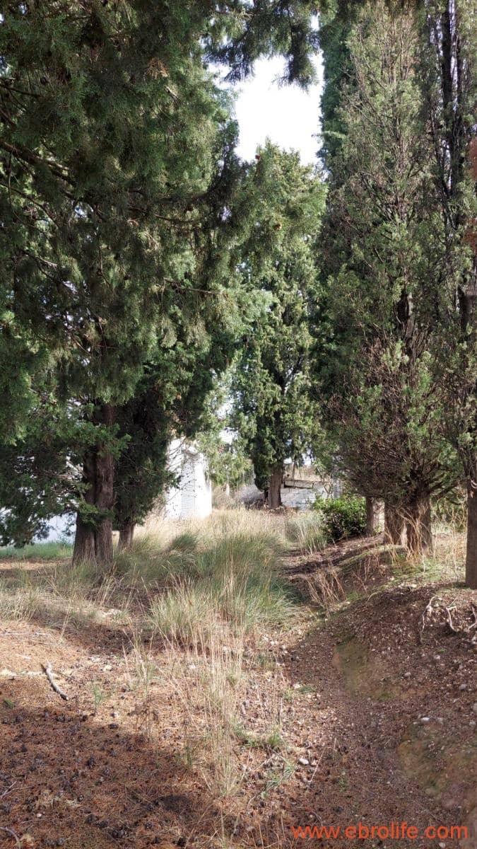 1 soveværelse Finca/Landehus til salg i Mas de las Matas - € 96.000 (Ref: 9302831)