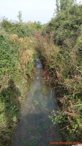 1 sypialnia Finka/Dom wiejski na sprzedaż w Mas de las Matas - 96 000 € (Ref: 9302831)