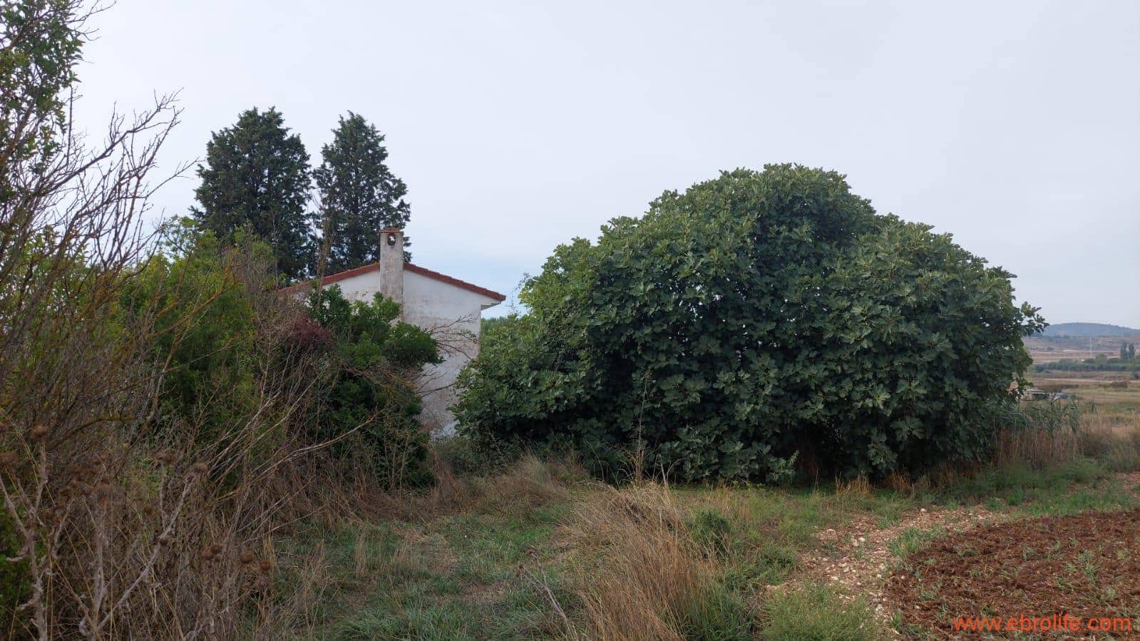 1 soveværelse Finca/Landehus til salg i Mas de las Matas - € 96.000 (Ref: 9302831)