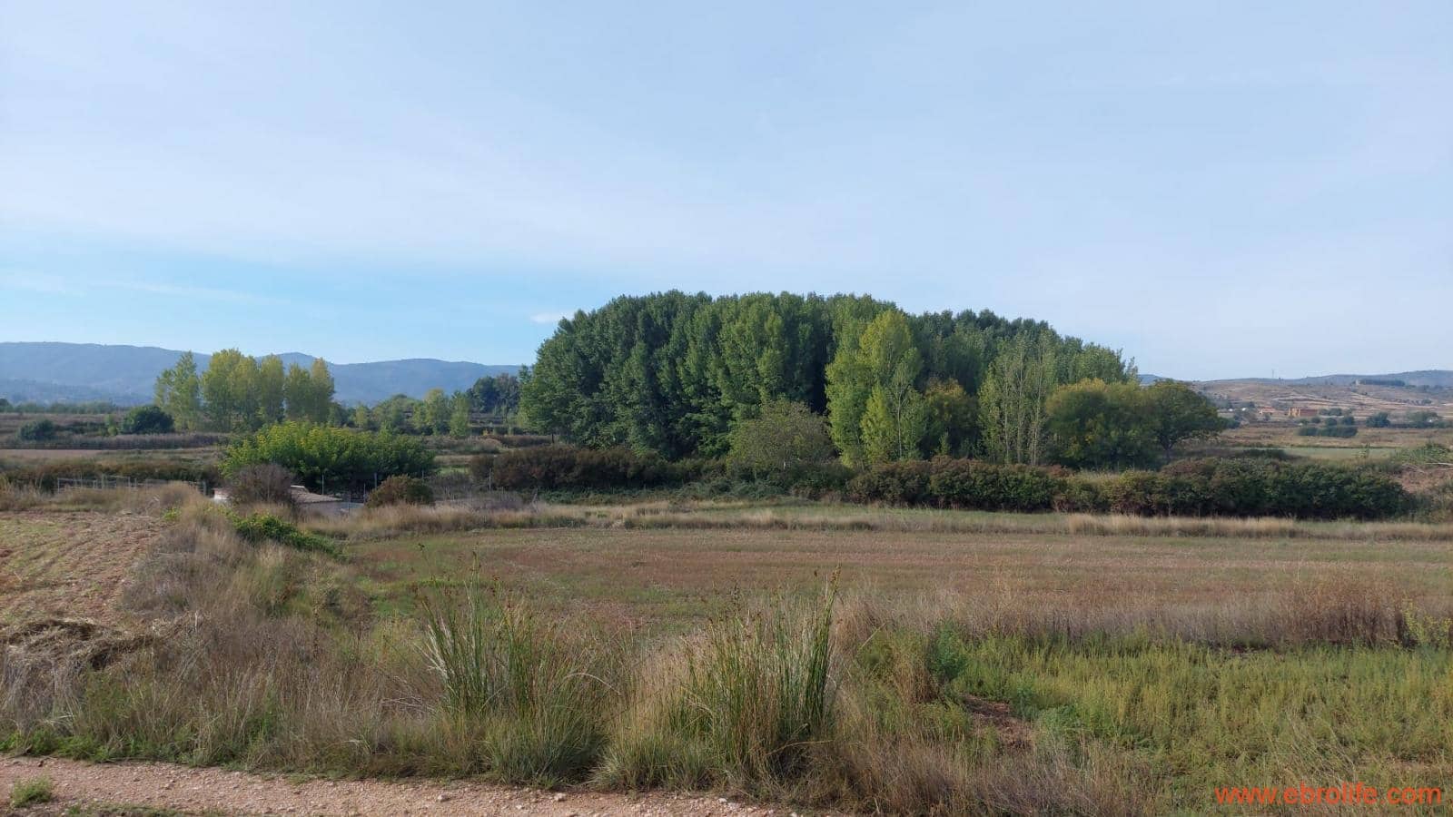 1 soveværelse Finca/Landehus til salg i Mas de las Matas - € 96.000 (Ref: 9302831)