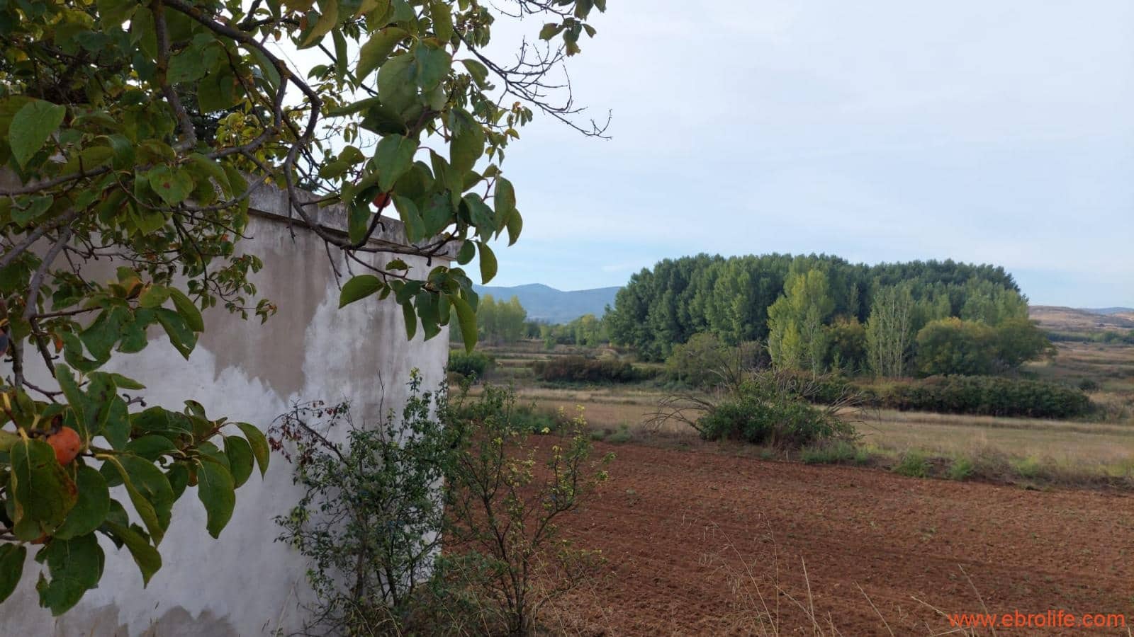 1 soveværelse Finca/Landehus til salg i Mas de las Matas - € 96.000 (Ref: 9302831)