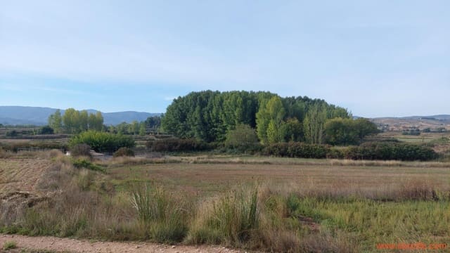 1 sypialnia Finka/Dom wiejski na sprzedaż w Mas de las Matas - 96 000 € (Ref: 9302831)