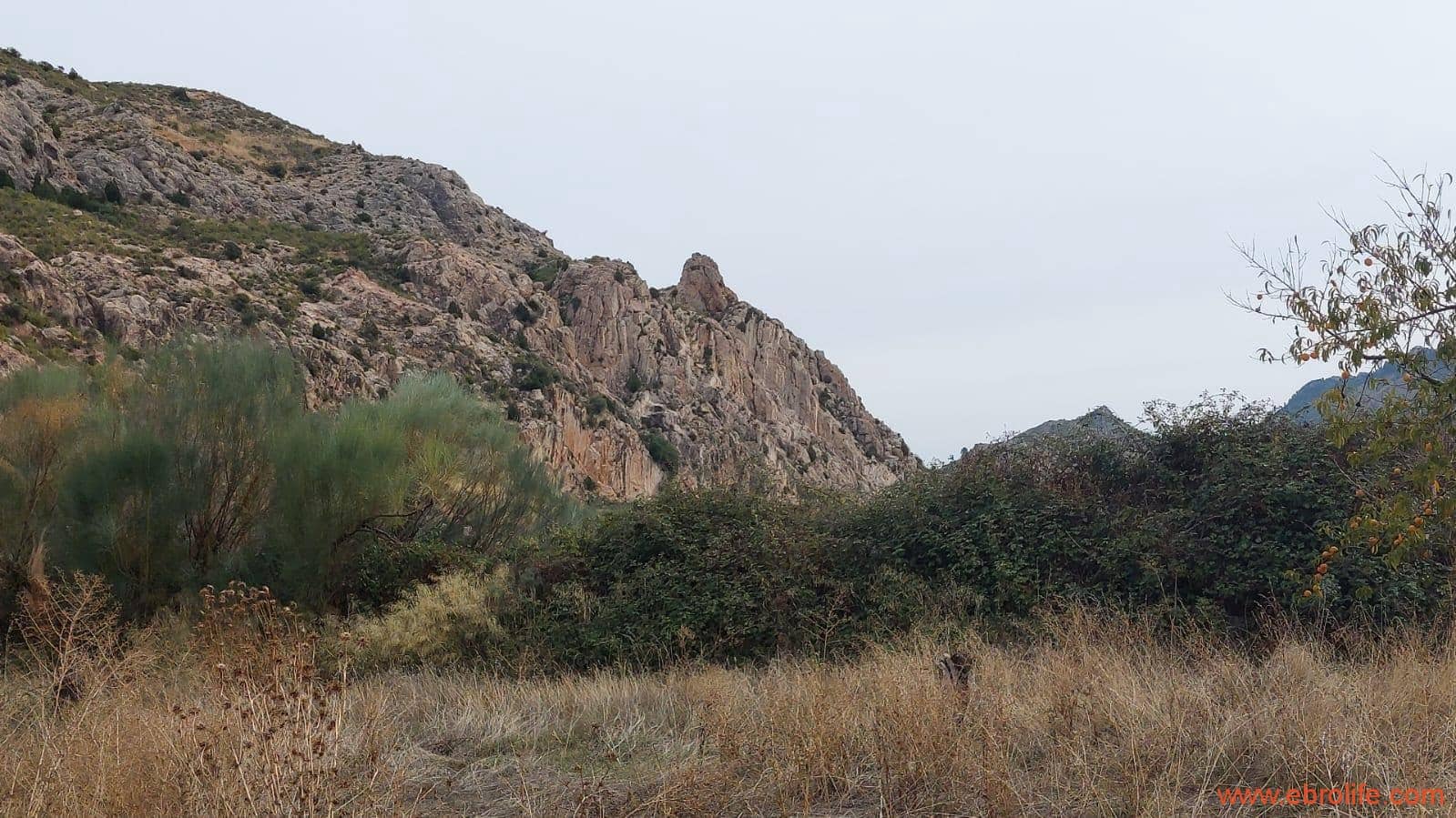 1 soveværelse Finca/Landehus til salg i Mas de las Matas - € 96.000 (Ref: 9302831)