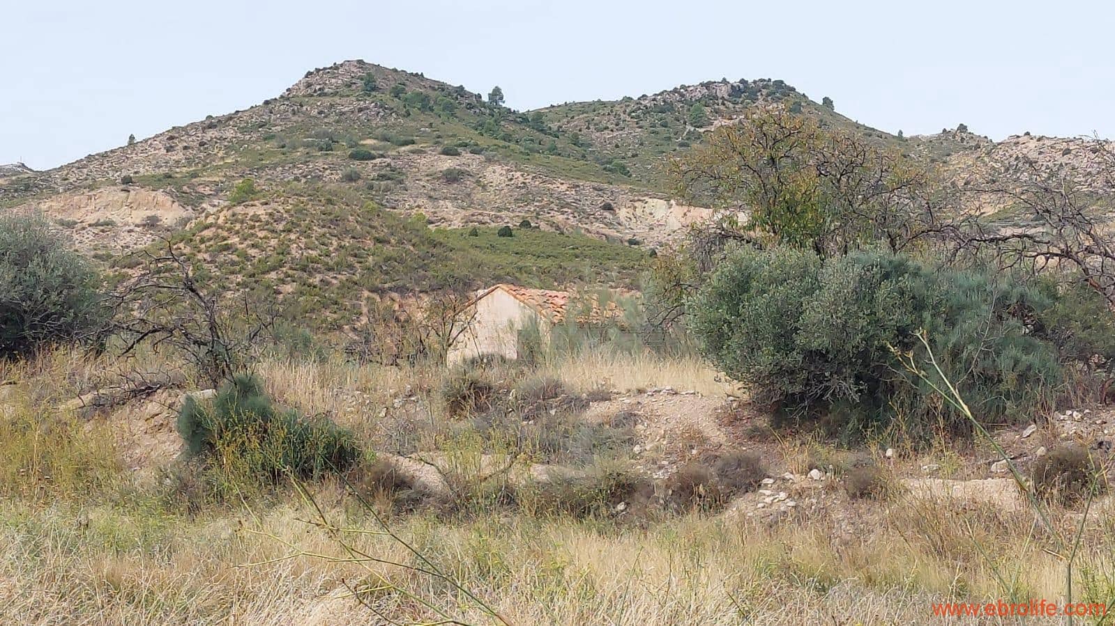 1 soveværelse Finca/Landehus til salg i Mas de las Matas - € 96.000 (Ref: 9302831)