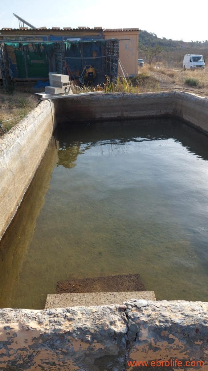 1 slaapkamer Finca/Landhuis te koop in Nonaspe - € 43.000 (Ref: 9398016)