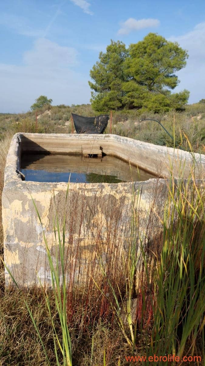 1 slaapkamer Finca/Landhuis te koop in Nonaspe - € 43.000 (Ref: 9398016)