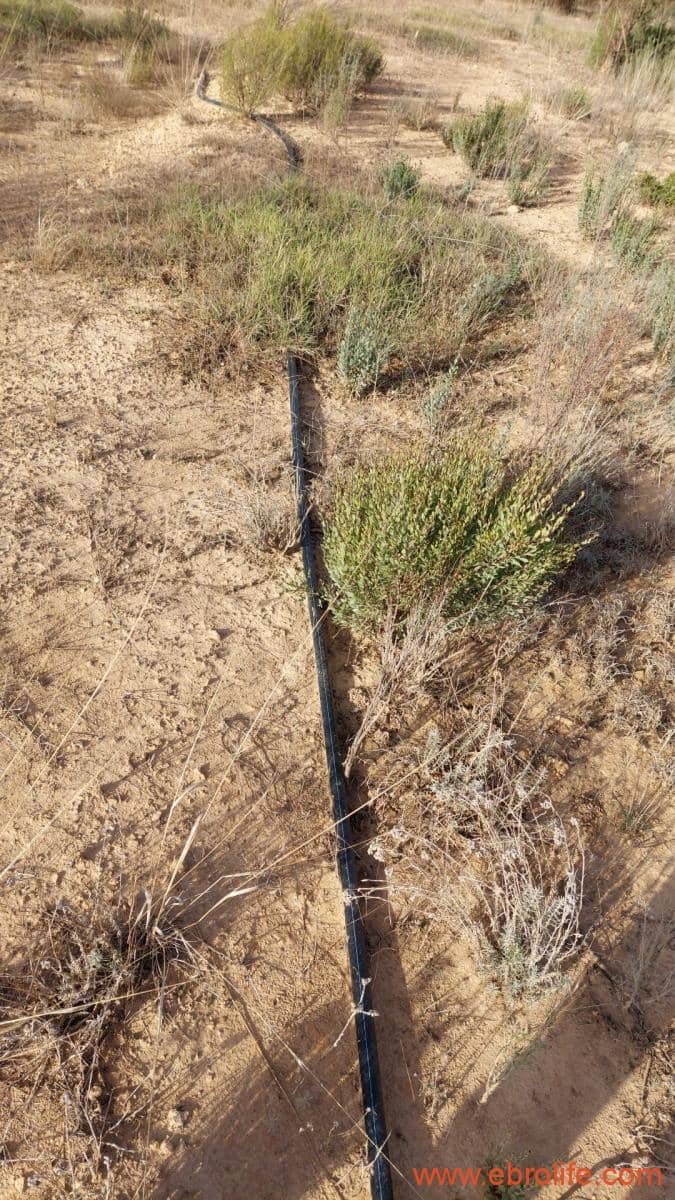 1 slaapkamer Finca/Landhuis te koop in Nonaspe - € 43.000 (Ref: 9398016)