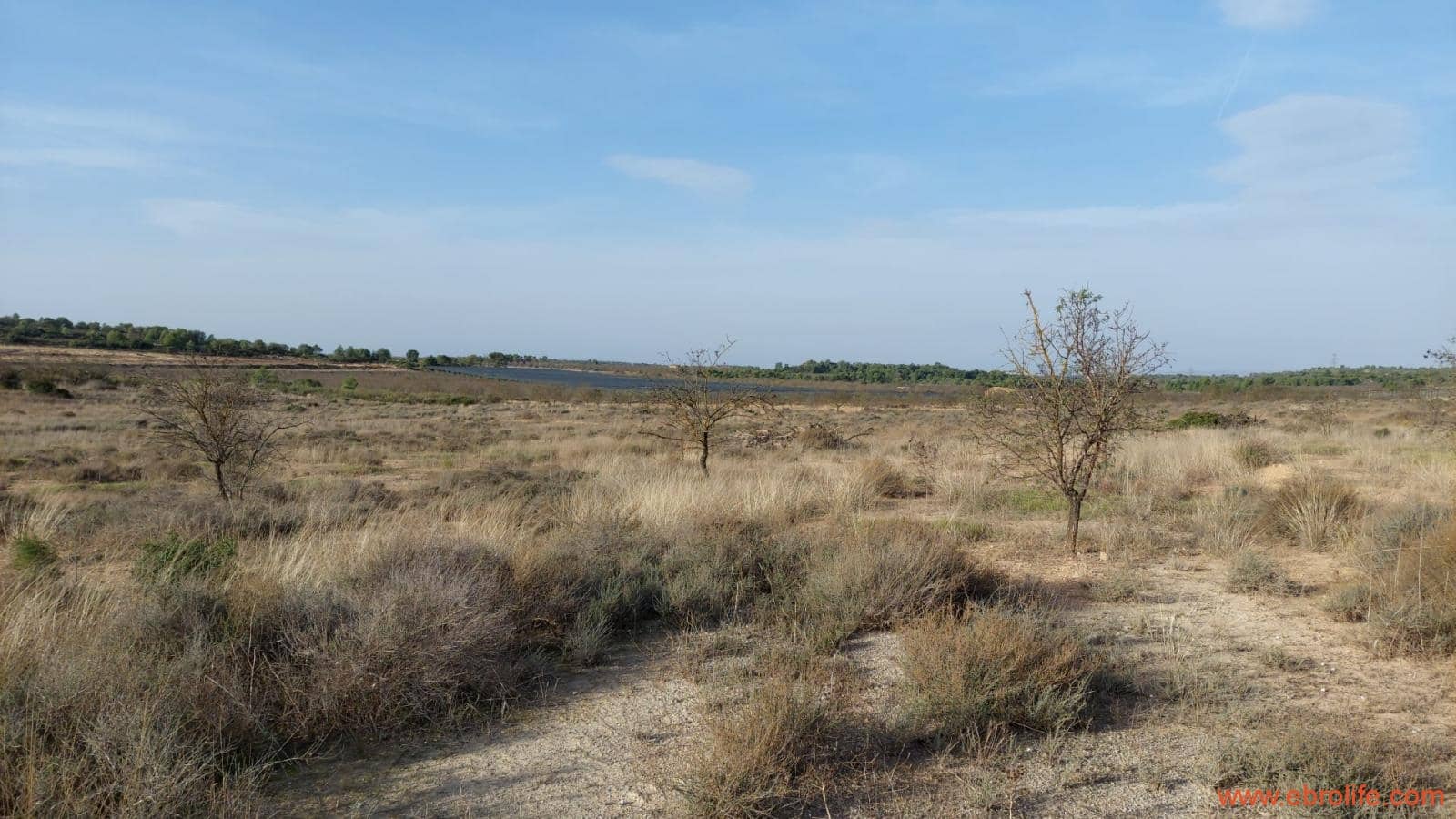 1 slaapkamer Finca/Landhuis te koop in Nonaspe - € 43.000 (Ref: 9398016)