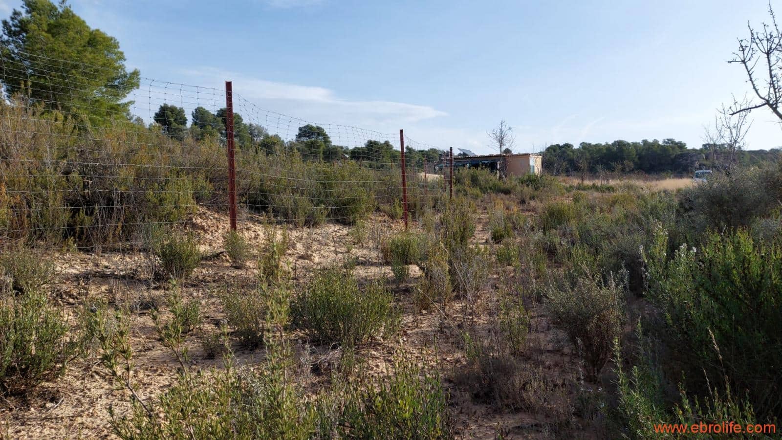 1 slaapkamer Finca/Landhuis te koop in Nonaspe - € 43.000 (Ref: 9398016)