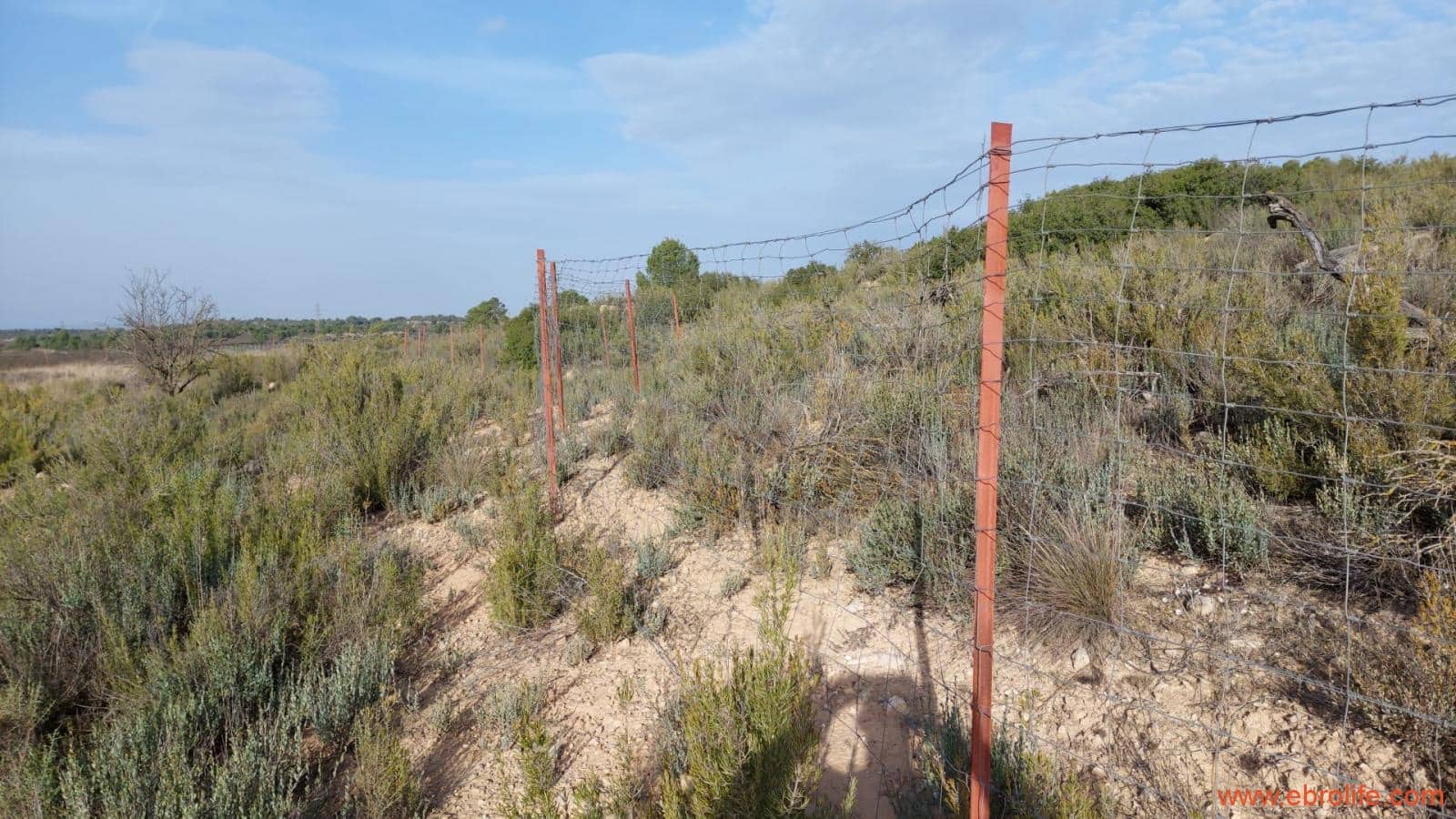 1 slaapkamer Finca/Landhuis te koop in Nonaspe - € 43.000 (Ref: 9398016)