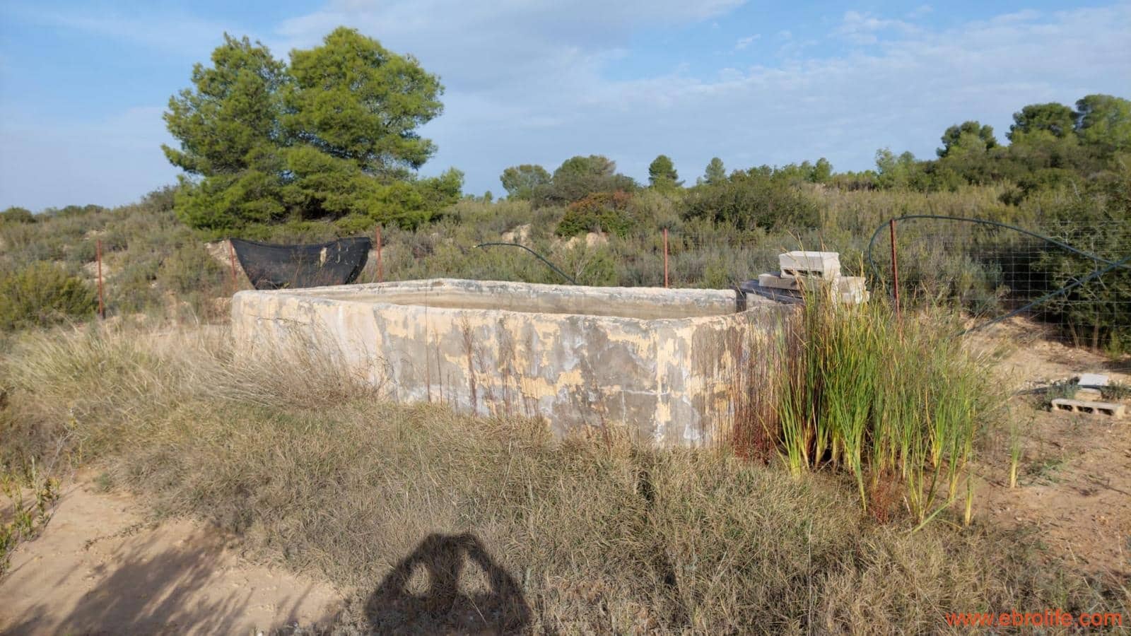 1 slaapkamer Finca/Landhuis te koop in Nonaspe - € 43.000 (Ref: 9398016)