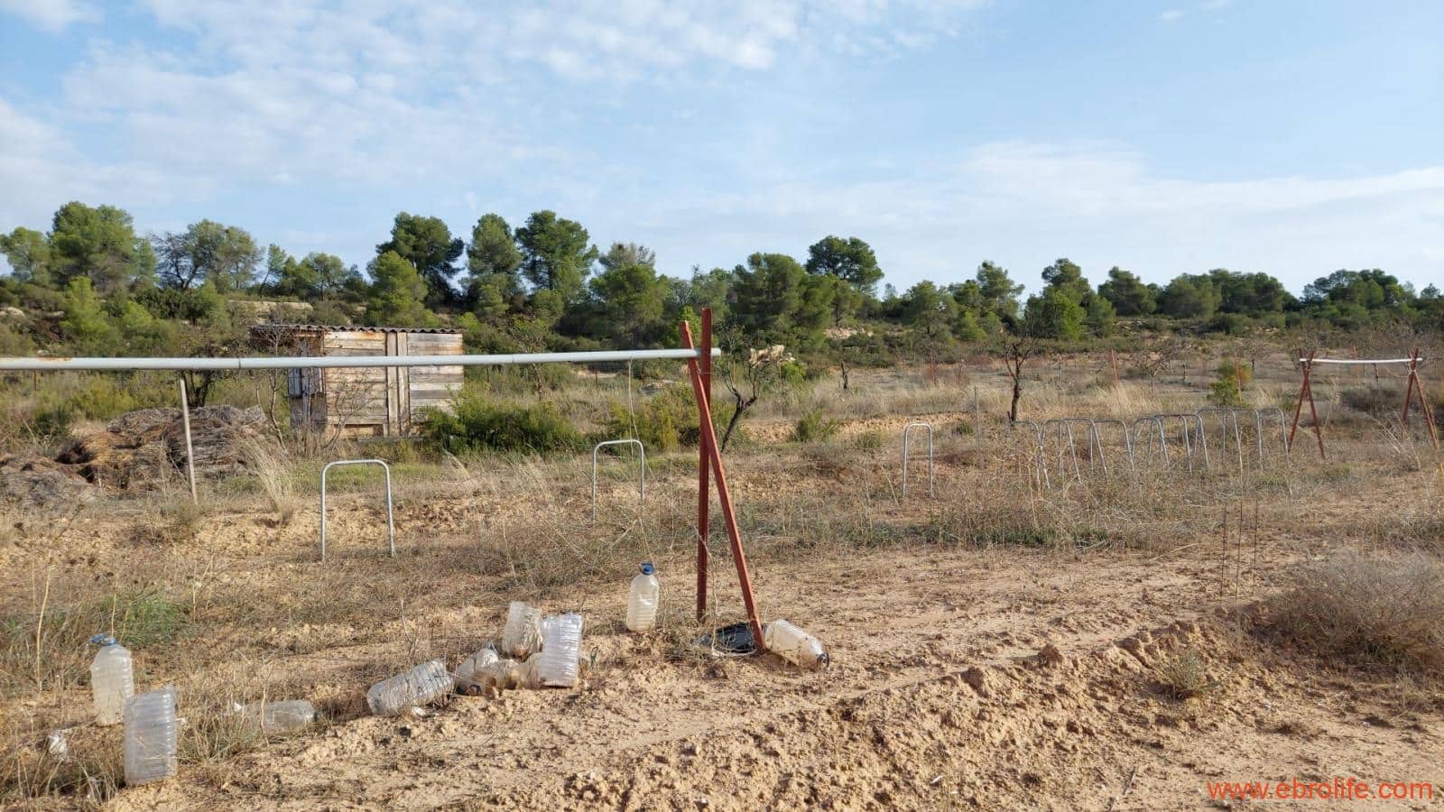 1 slaapkamer Finca/Landhuis te koop in Nonaspe - € 43.000 (Ref: 9398016)