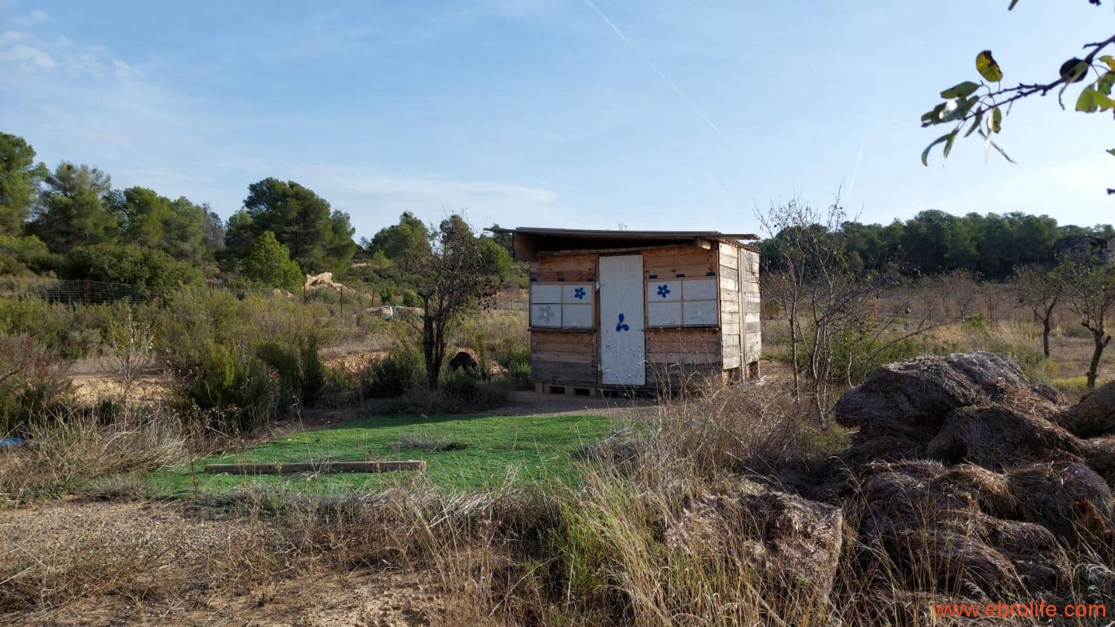 1 slaapkamer Finca/Landhuis te koop in Nonaspe - € 43.000 (Ref: 9398016)