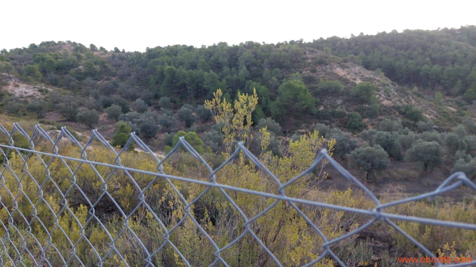 1 soverom Finca/Herregård til salgs i Nonaspe - € 48 000 (Ref: 9398017)